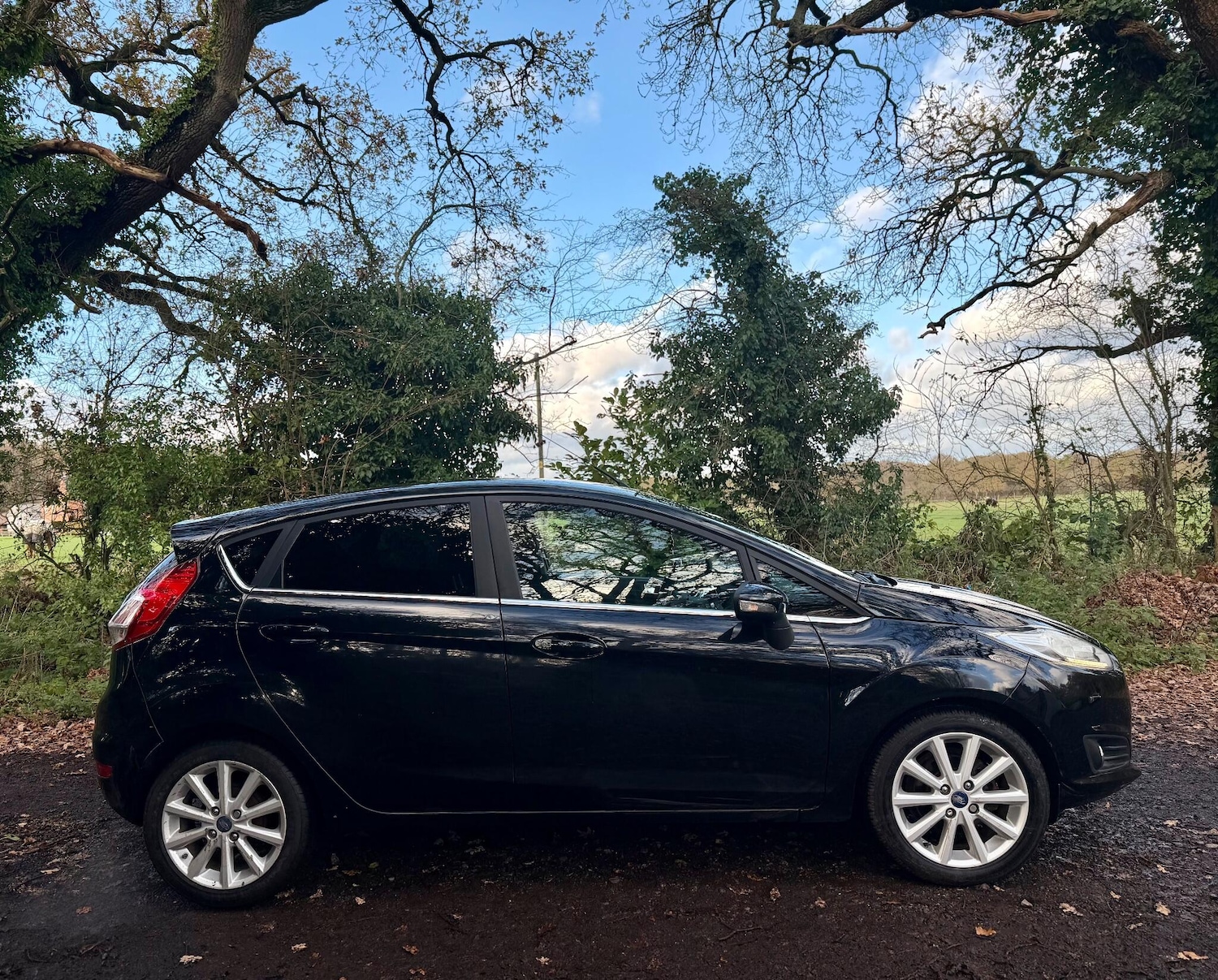 Used Ford Fiesta 2016 for sale - 76671167: Photo 14
