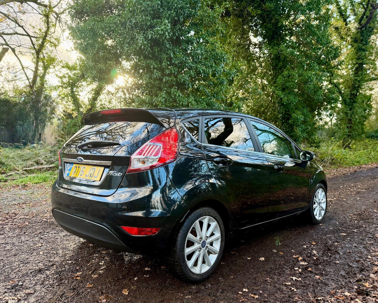 Used Ford Fiesta 2016 for sale - 76671167: Photo 15