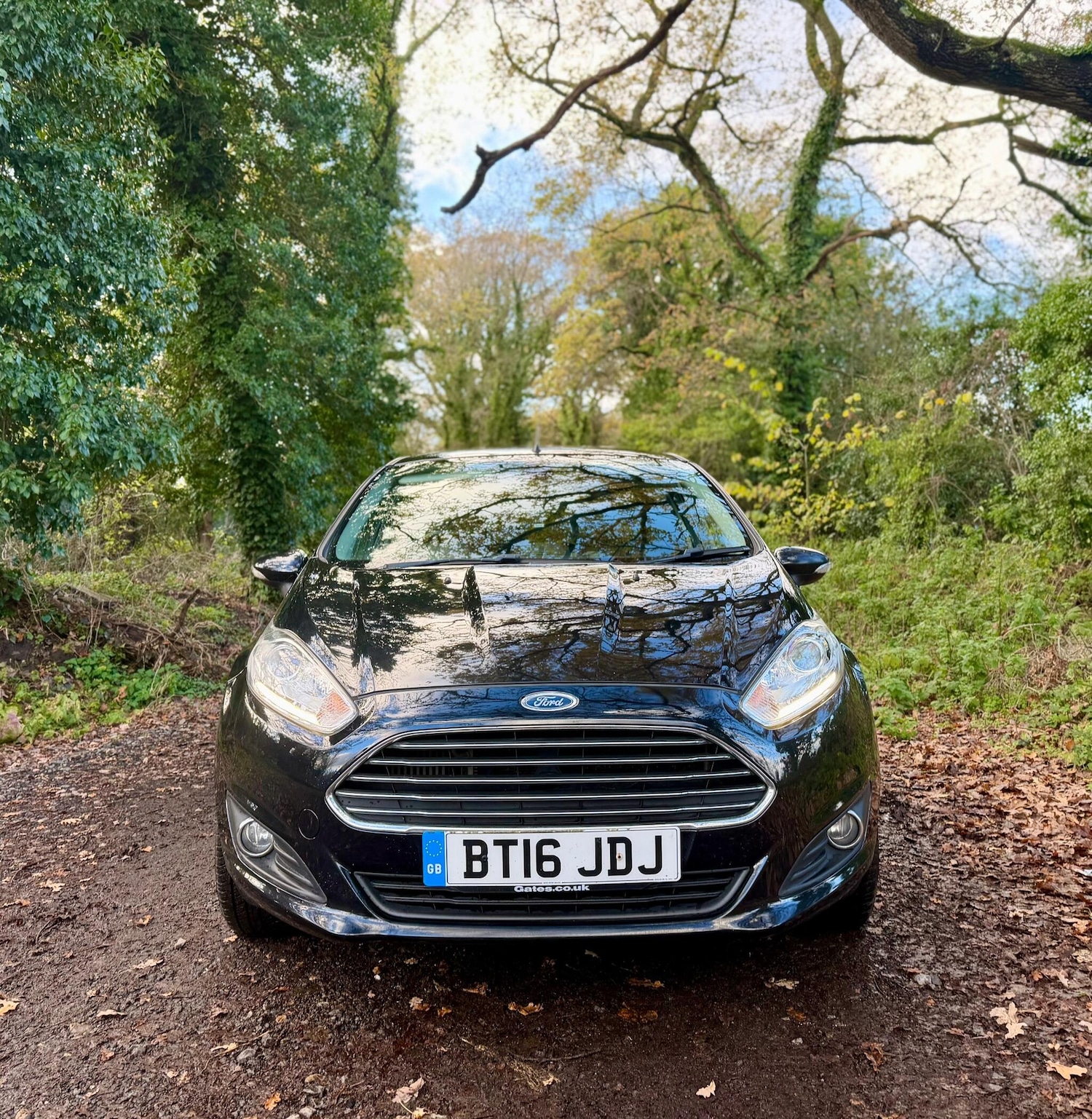 Used Ford Fiesta 2016 for sale - 76671167: Photo 2