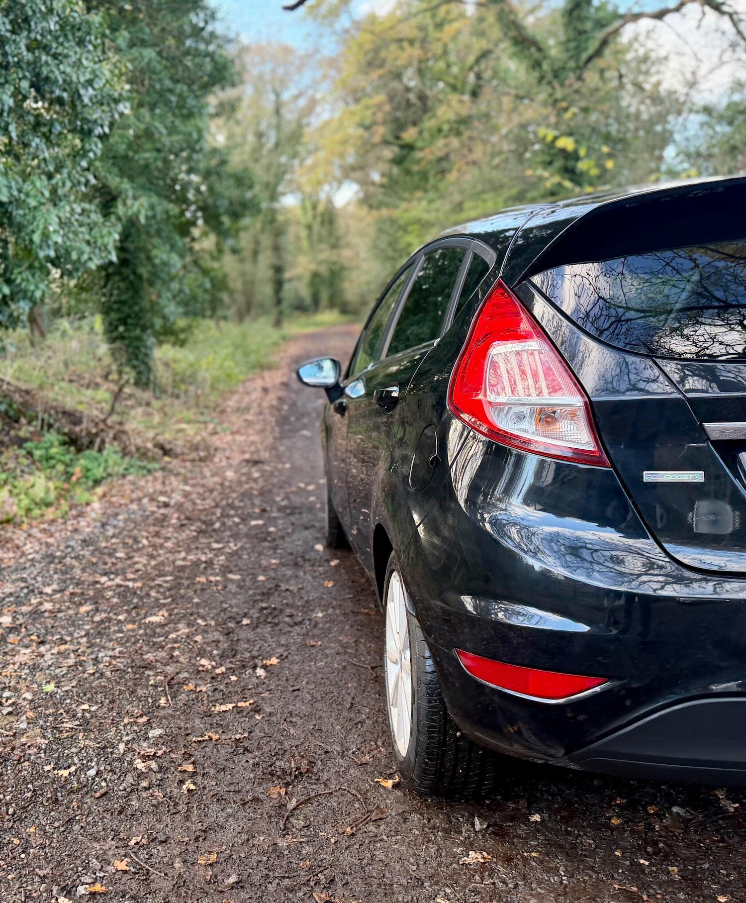 Used Ford Fiesta 2016 for sale - 76671167: Photo 4