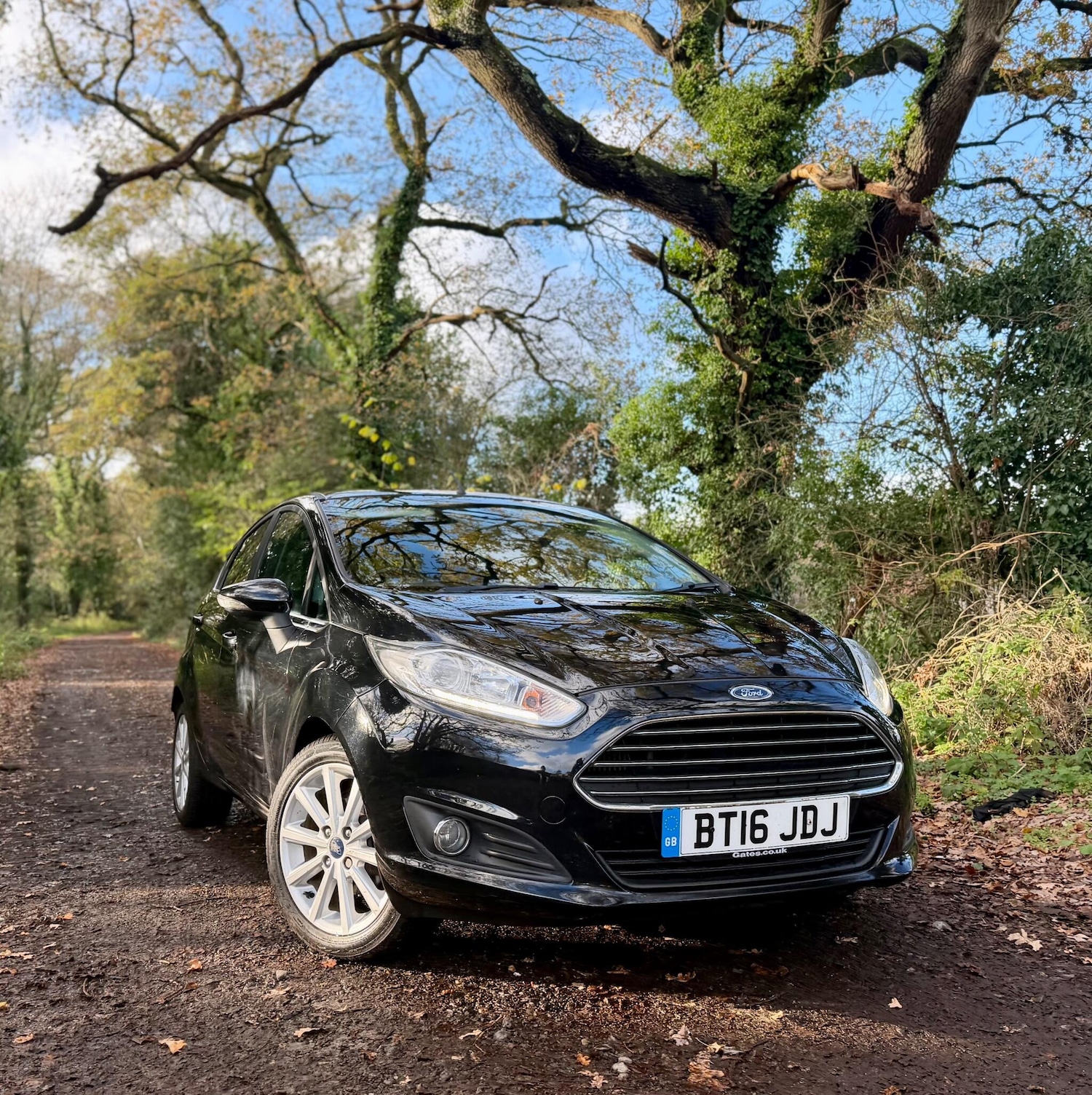 Used Ford Fiesta 2016 for sale - 76671167: Photo 5