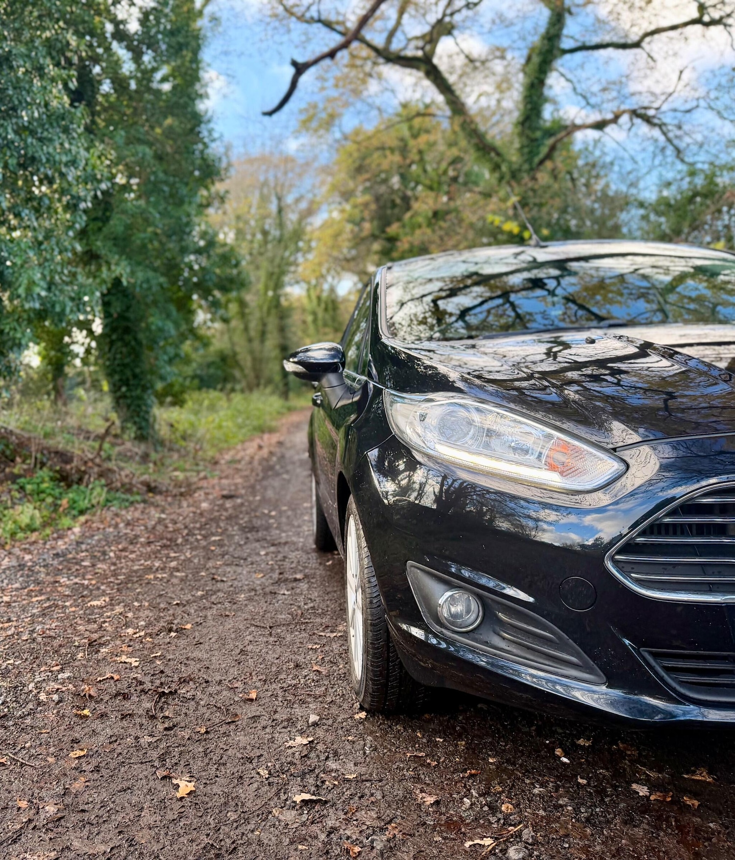 Used Ford Fiesta 2016 for sale - 76671167: Photo 6