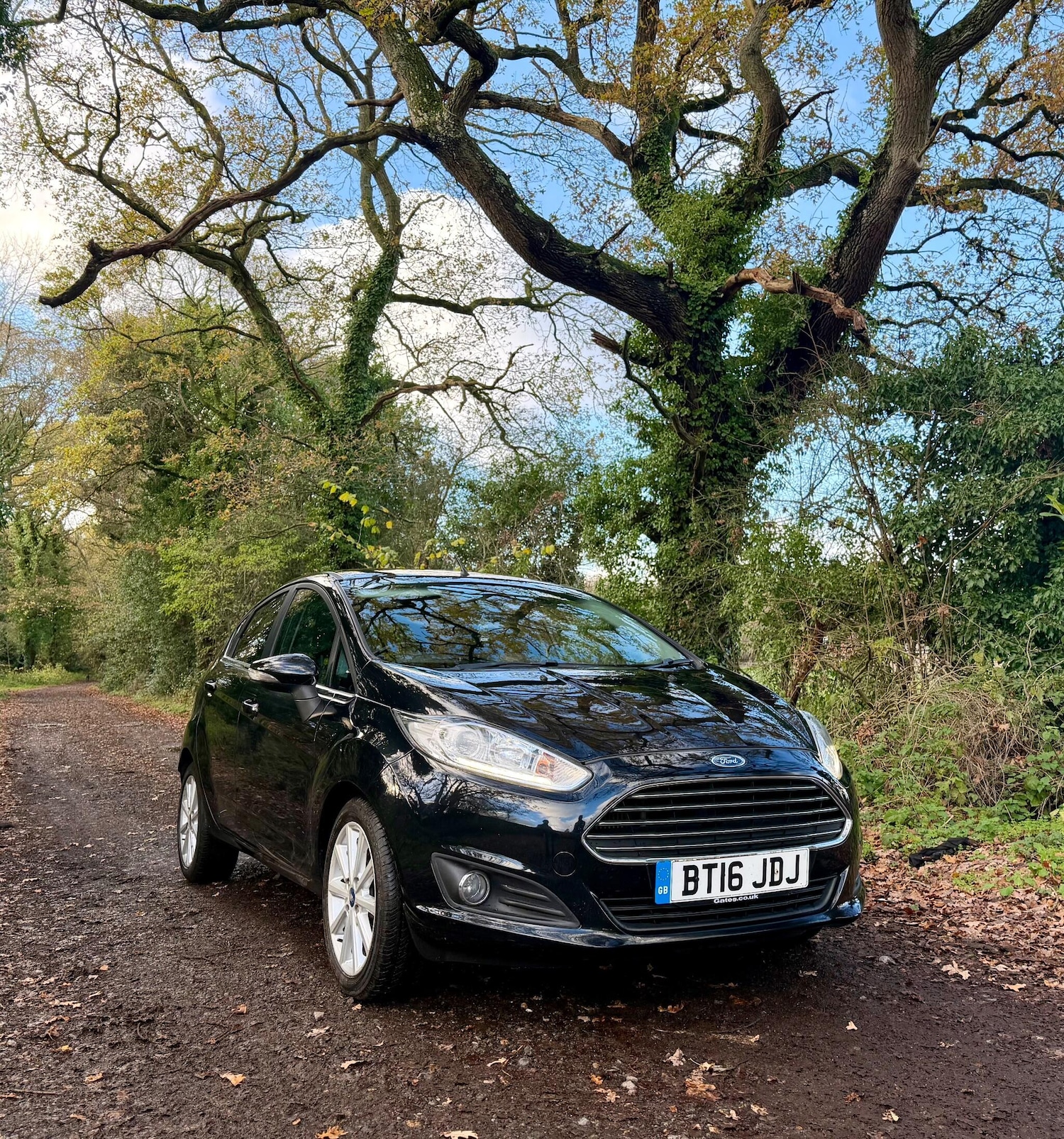 Used Ford Fiesta 2016 for sale - 76671167: Photo 7