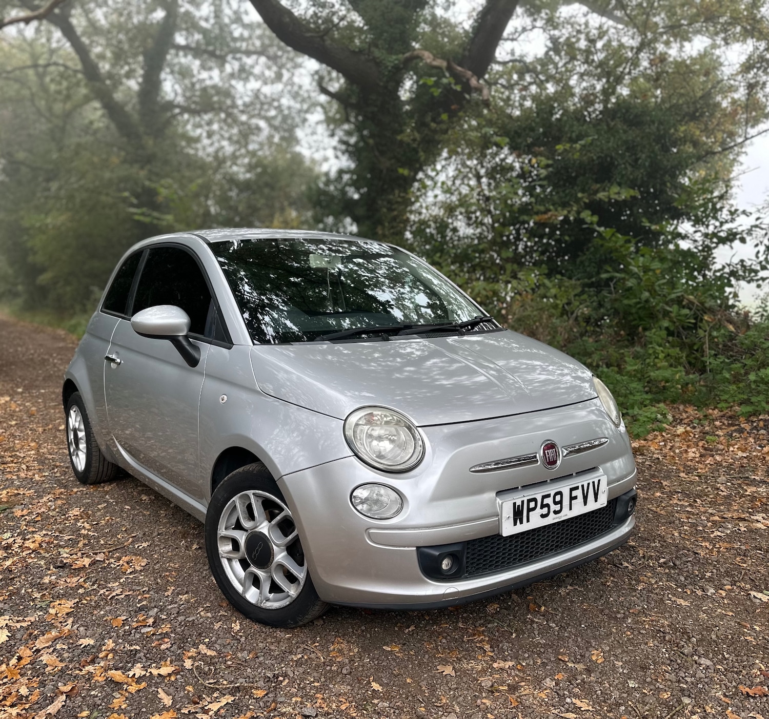 Used Fiat 500 2009 for sale - 76379115: Photo 1