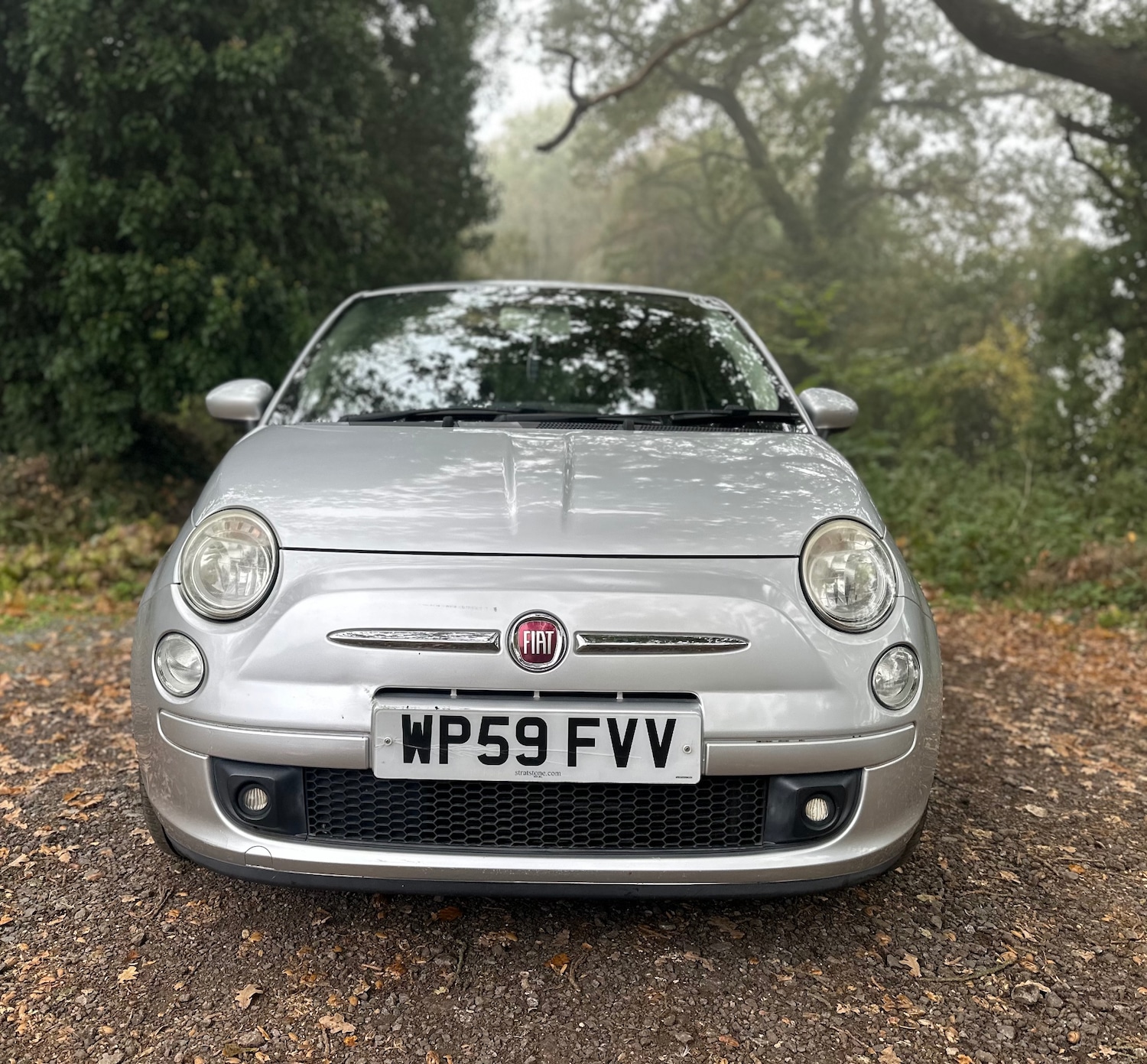 Used Fiat 500 2009 for sale - 76379115: Photo 2