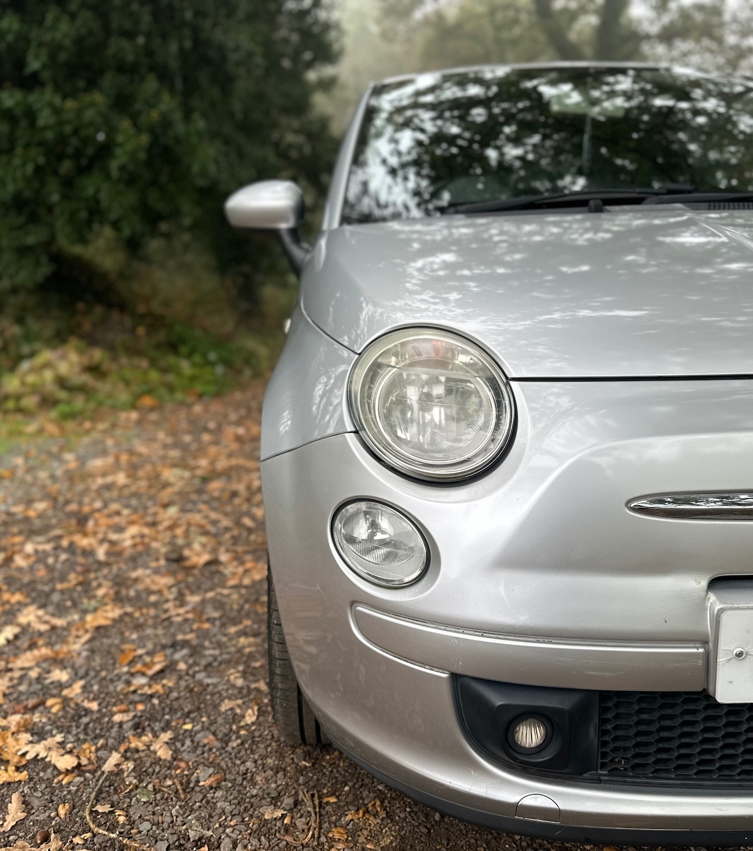 Used Fiat 500 2009 for sale - 76379115: Photo 5