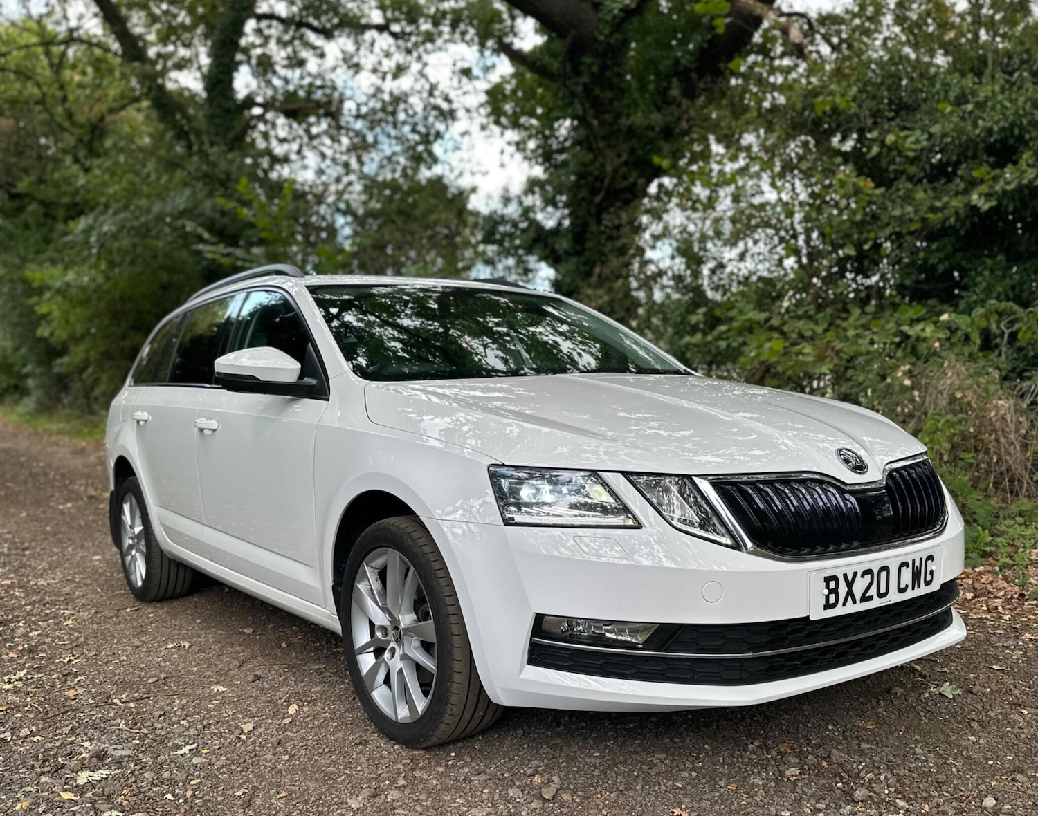Used Skoda Octavia 2020 for sale - 76269949: Photo 1