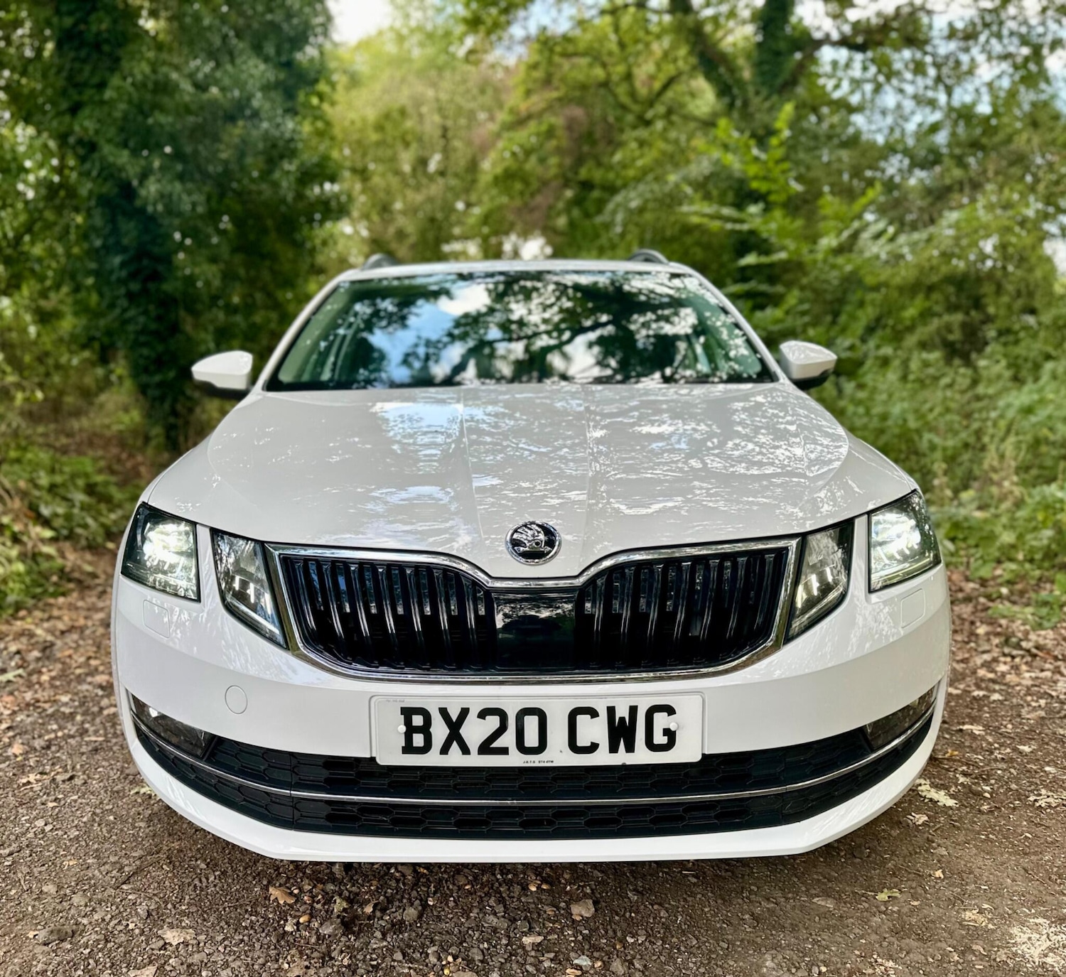 Used Skoda Octavia 2020 for sale - 76269949: Photo 2