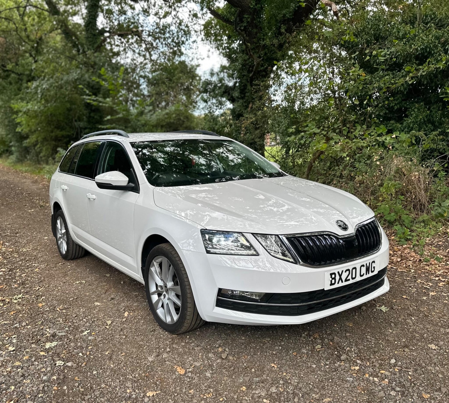 Used Skoda Octavia 2020 for sale - 76269949: Photo 5