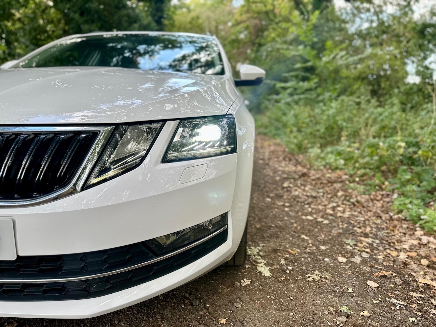 Used Skoda Octavia 2020 for sale - 76269949: Photo 9