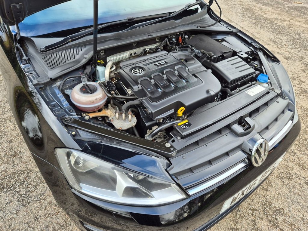 Used Volkswagen Golf 2016 for sale - 77654609: Photo 40