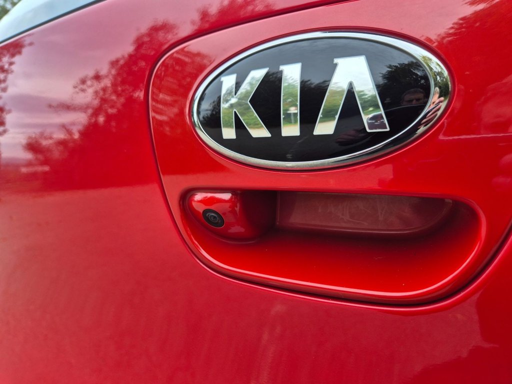Used Kia Picanto 2019 for sale - 76367483: Photo 15