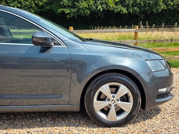 Used Skoda Octavia 2019 for sale - 79197915: Photo