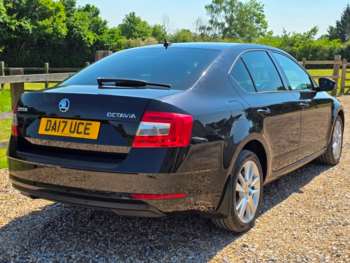 Used Skoda Octavia 2017 for sale - 74638446: Photo