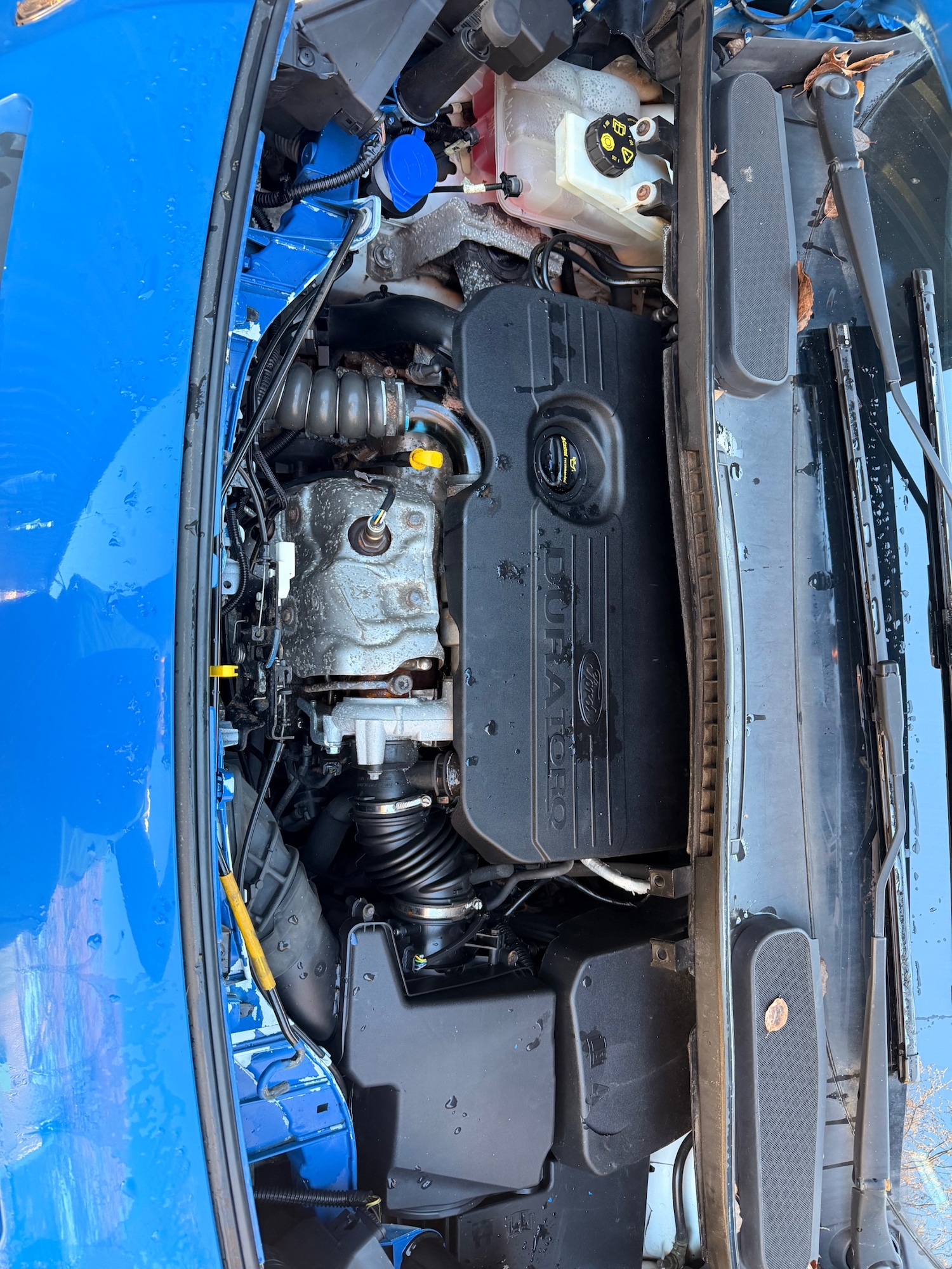 Used Ford Transit Connect 2016 for sale - 77106171: Photo 17