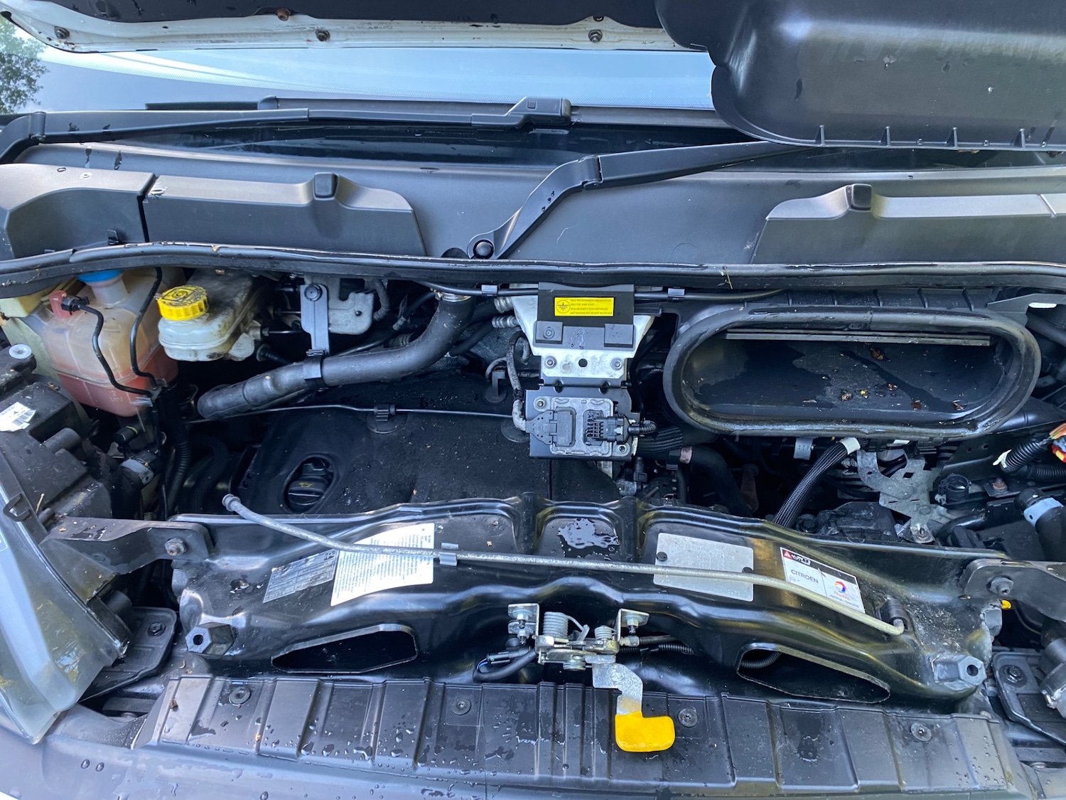 Used Citroen Relay 2020 for sale - 77906882: Photo 16