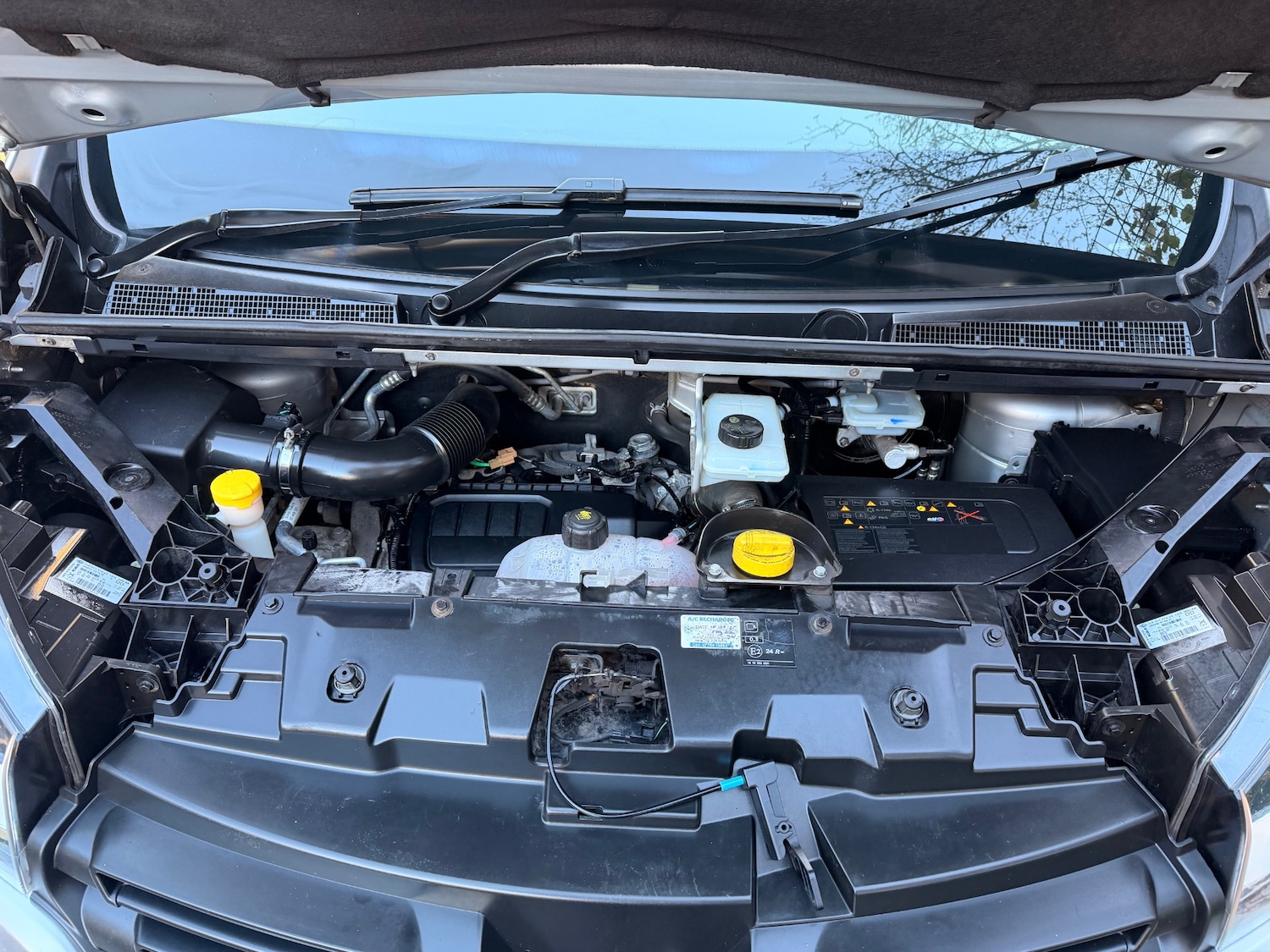 Used Renault Trafic 2017 for sale - 77681572: Photo 15