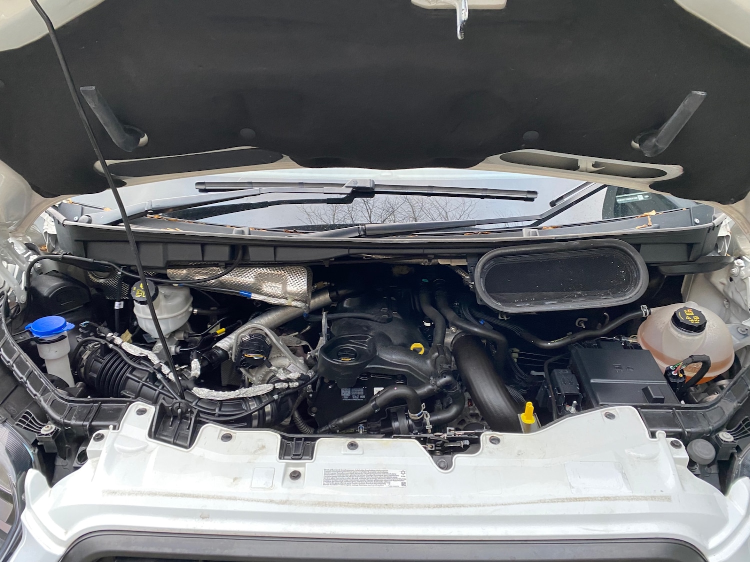 Used Ford Transit 2022 for sale - 77906922: Photo 16