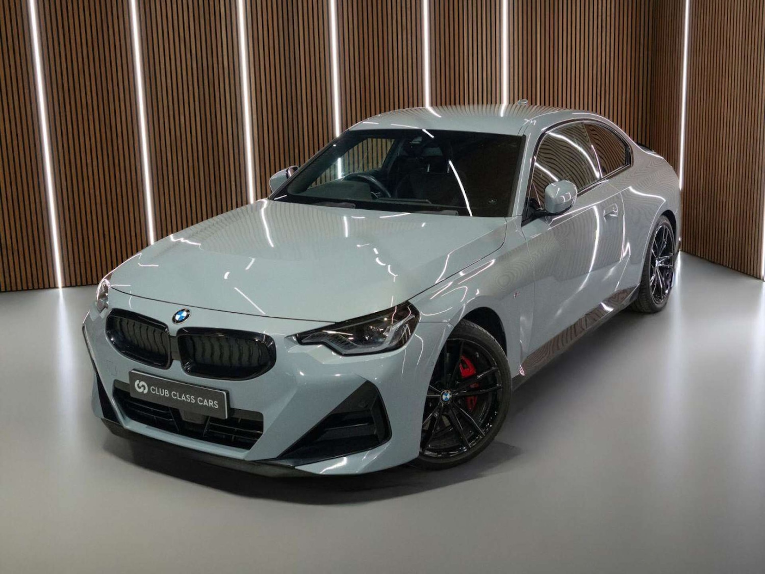 Used BMW 2 Series 2022 for sale - 77022770: Photo 11