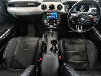 Used Ford Mustang 2017 for sale - 76685973: Photo