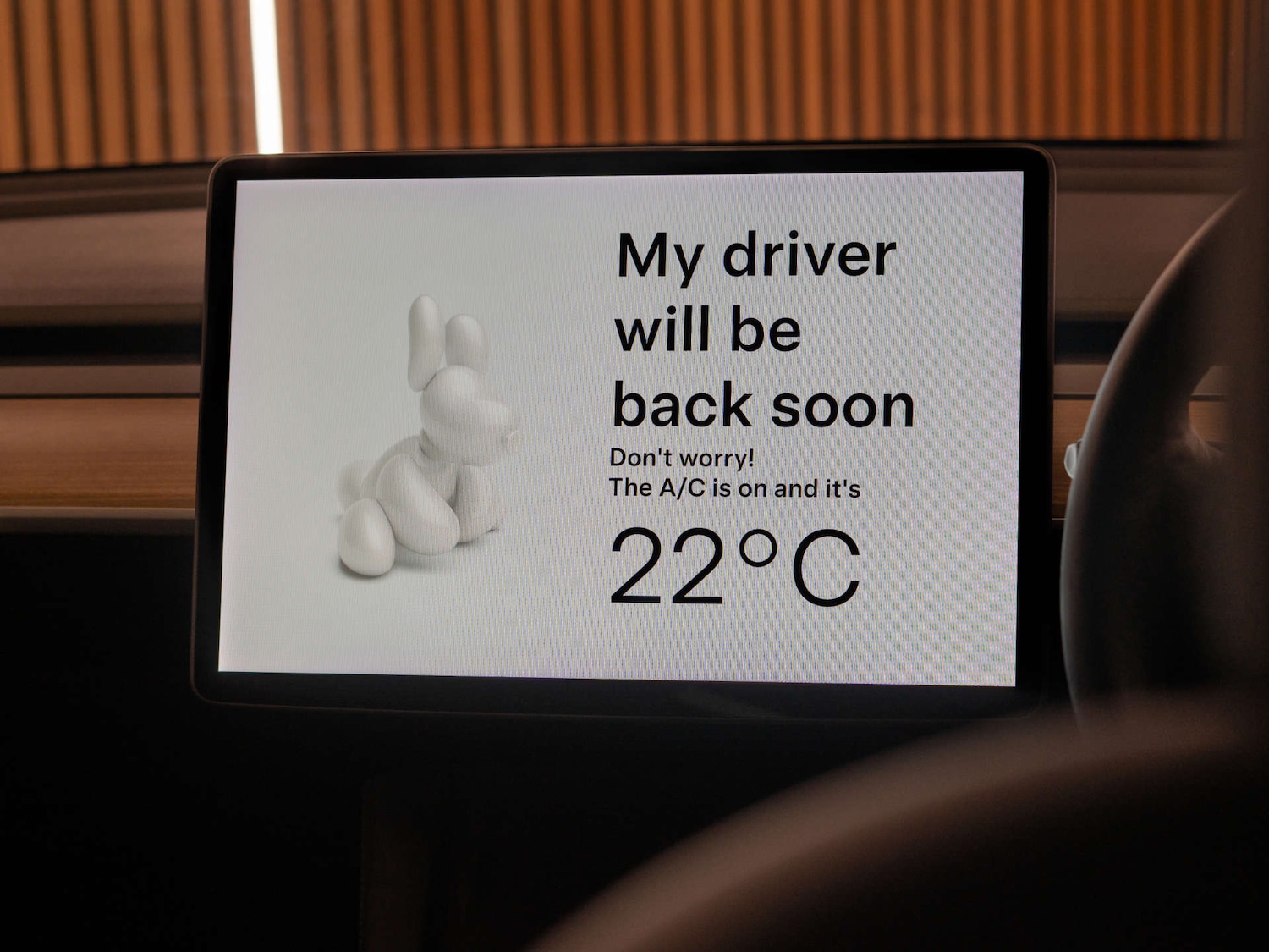 Used Tesla Model 3 2023 for sale - 78179596: Photo 31