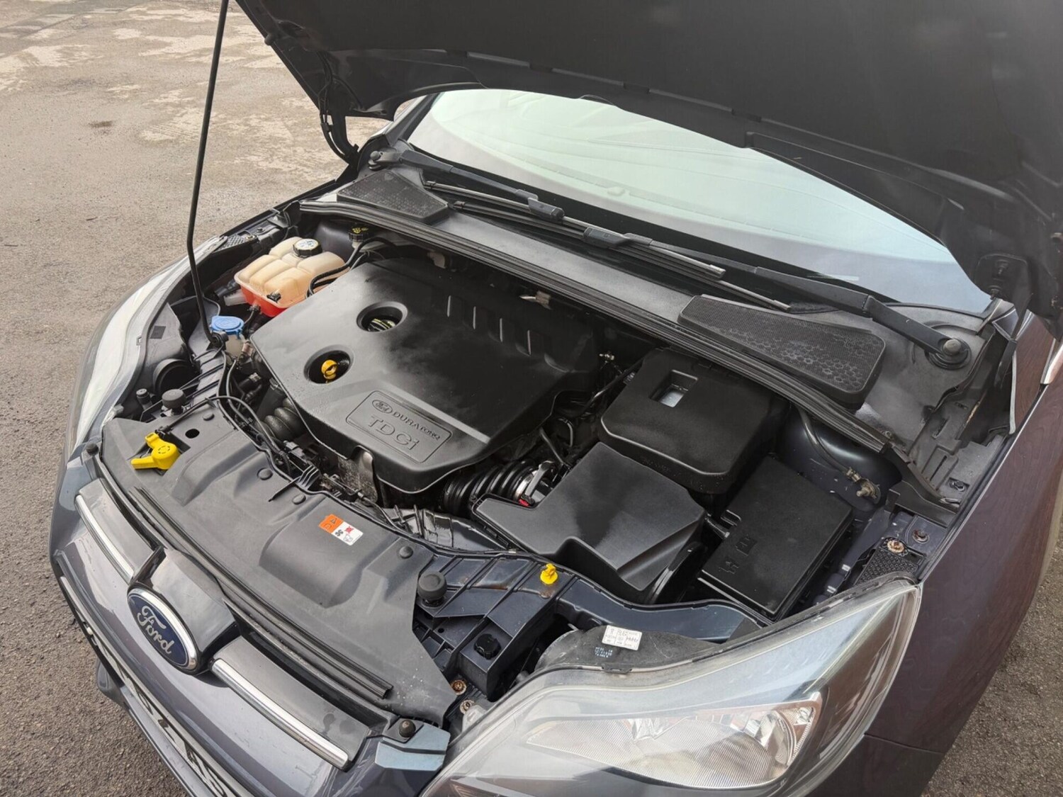 Used Ford Focus 2012 for sale - 77431168: Photo 39