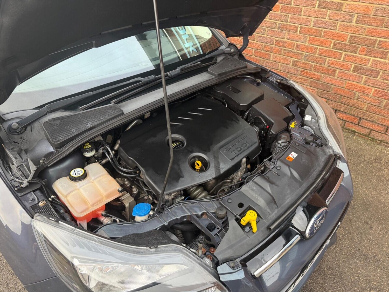 Used Ford Focus 2012 for sale - 77431168: Photo 40