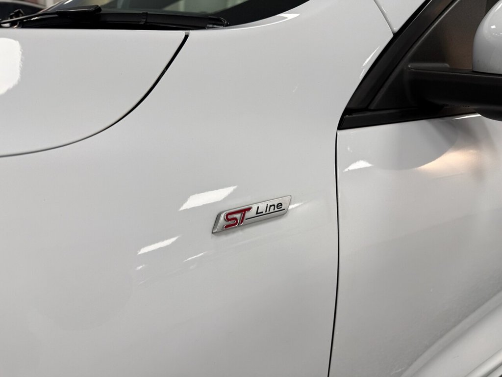 Used Ford Kuga 2020 for sale - 77341709: Photo 20