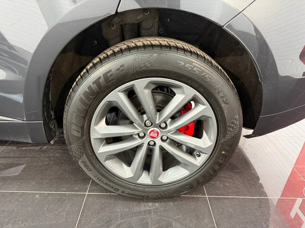 Used Jaguar F-Pace 2017 for sale - 77850337: Photo 14