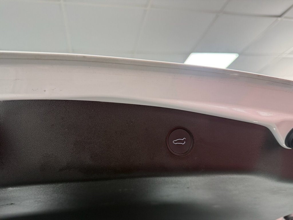 Used Tesla Model 3 2023 for sale - 77734123: Photo 17