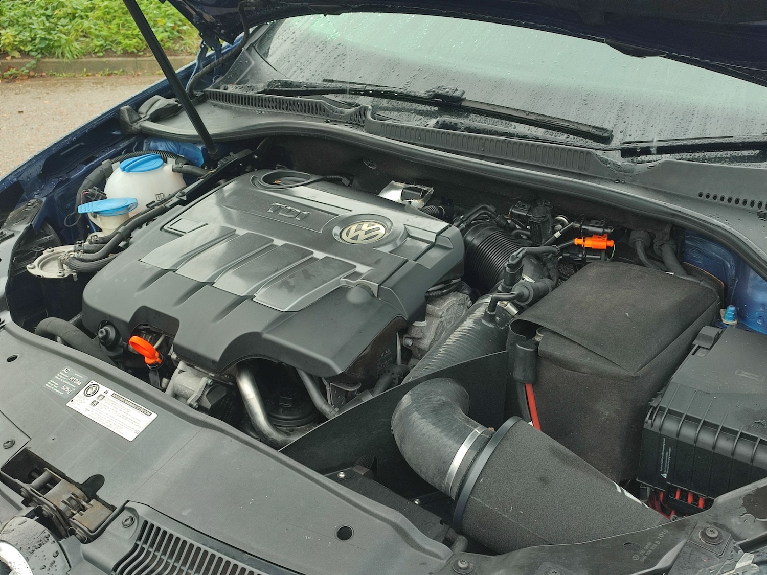 Used Volkswagen Golf 2010 for sale - 76299841: Photo 22