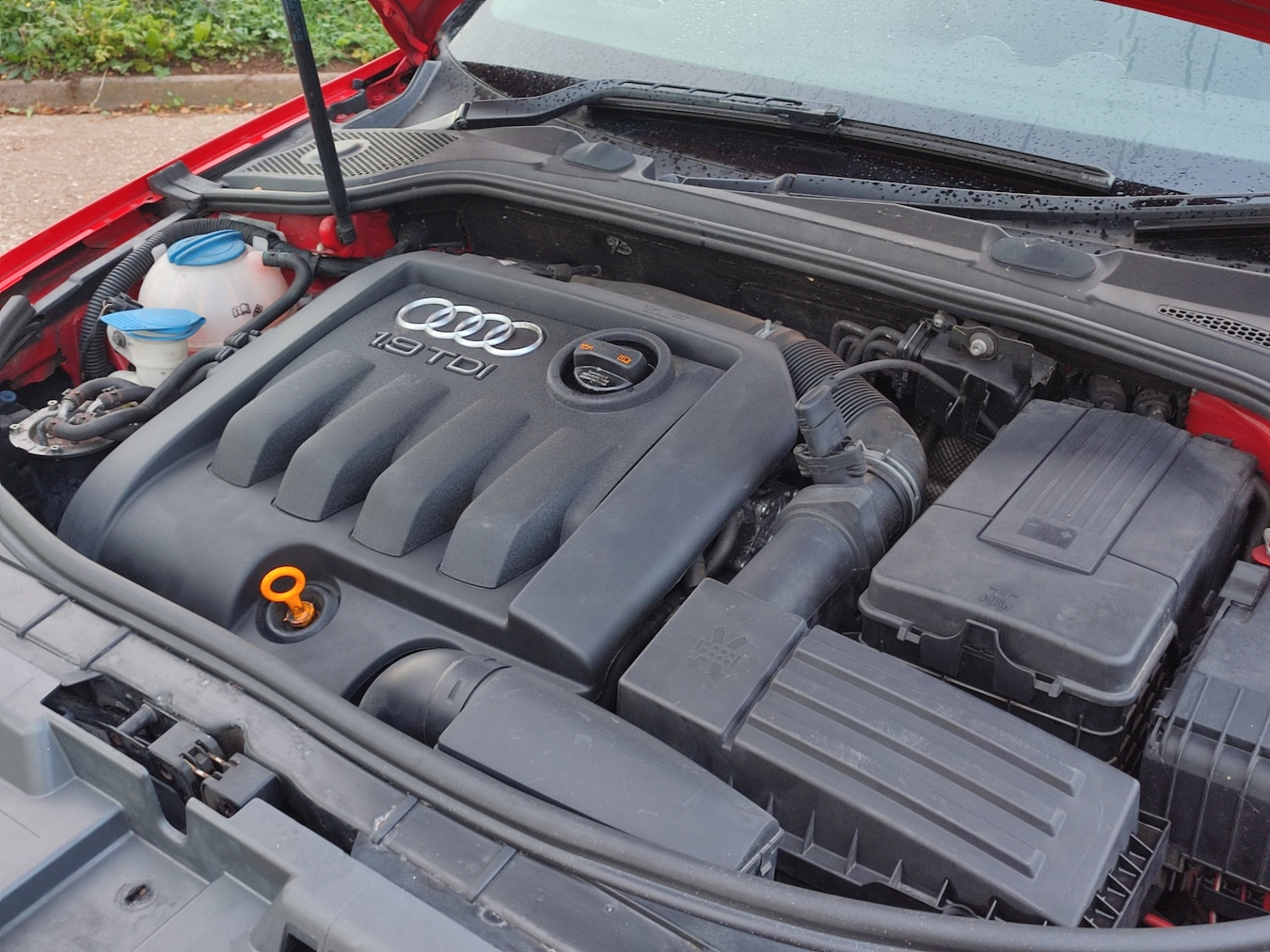 Used Audi A3 2008 for sale - 76177221: Photo 25