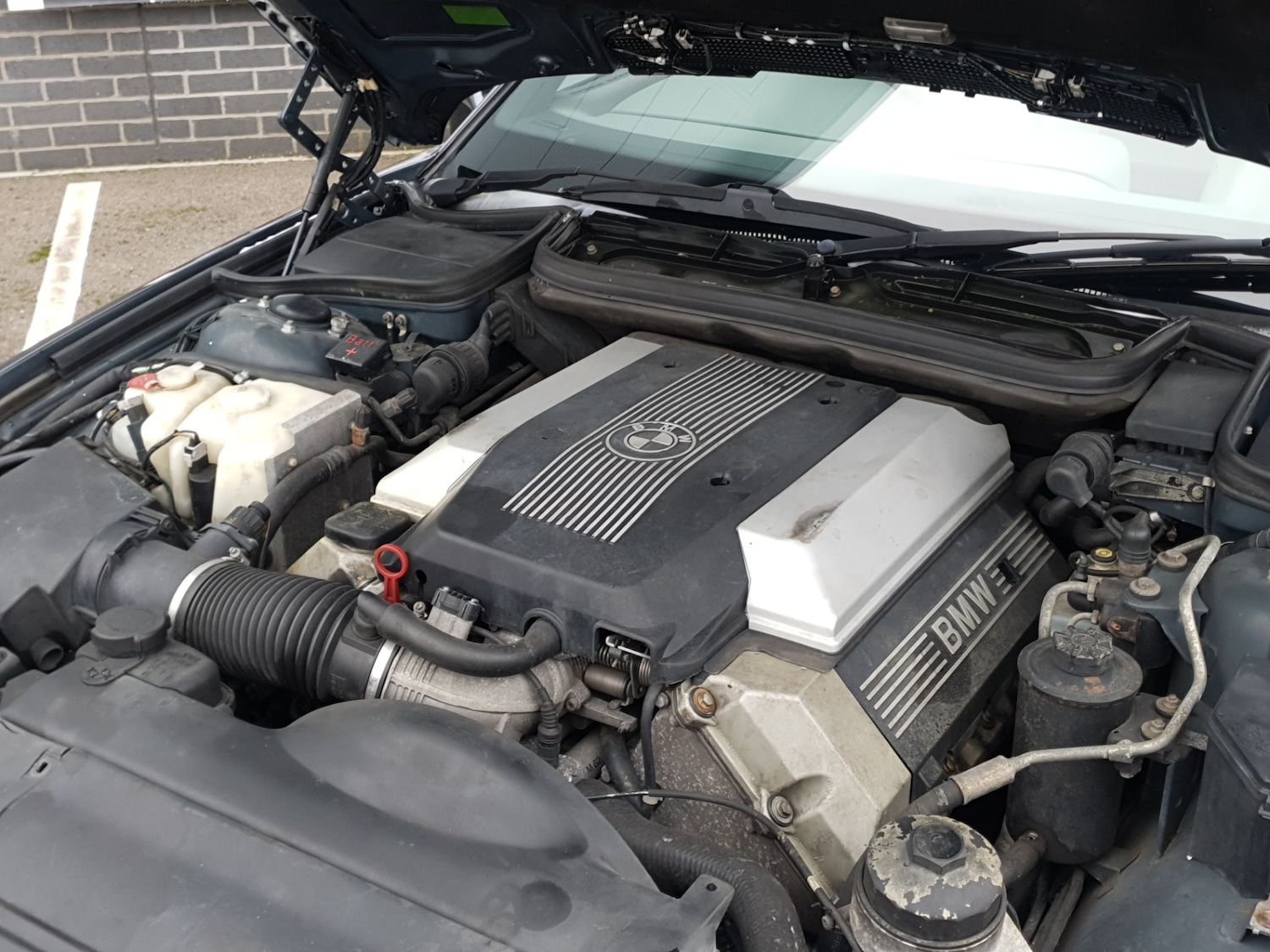 Used BMW 8 Series 1997 for sale - 73479649: Photo 22