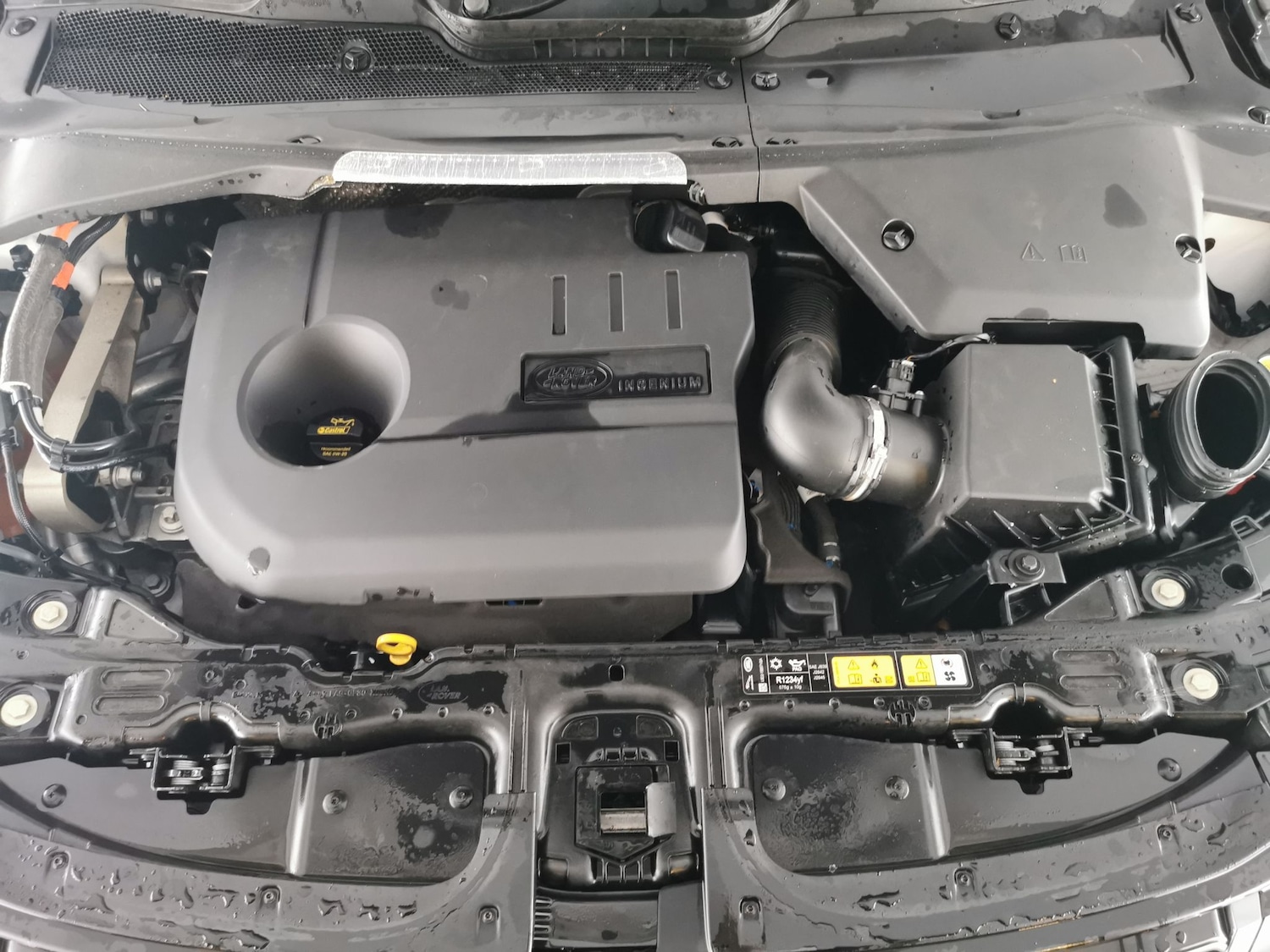 Used Land Rover Range Rover Evoque 2022 for sale - 77665445: Photo 35