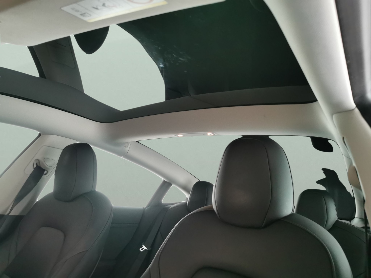 Used Tesla Model 3 2022 for sale - 77543011: Photo 5