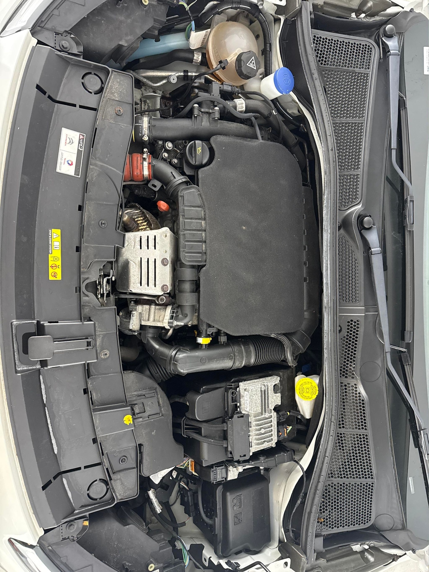 Used Citroen C4 Cactus 2017 for sale - 77354135: Photo 30