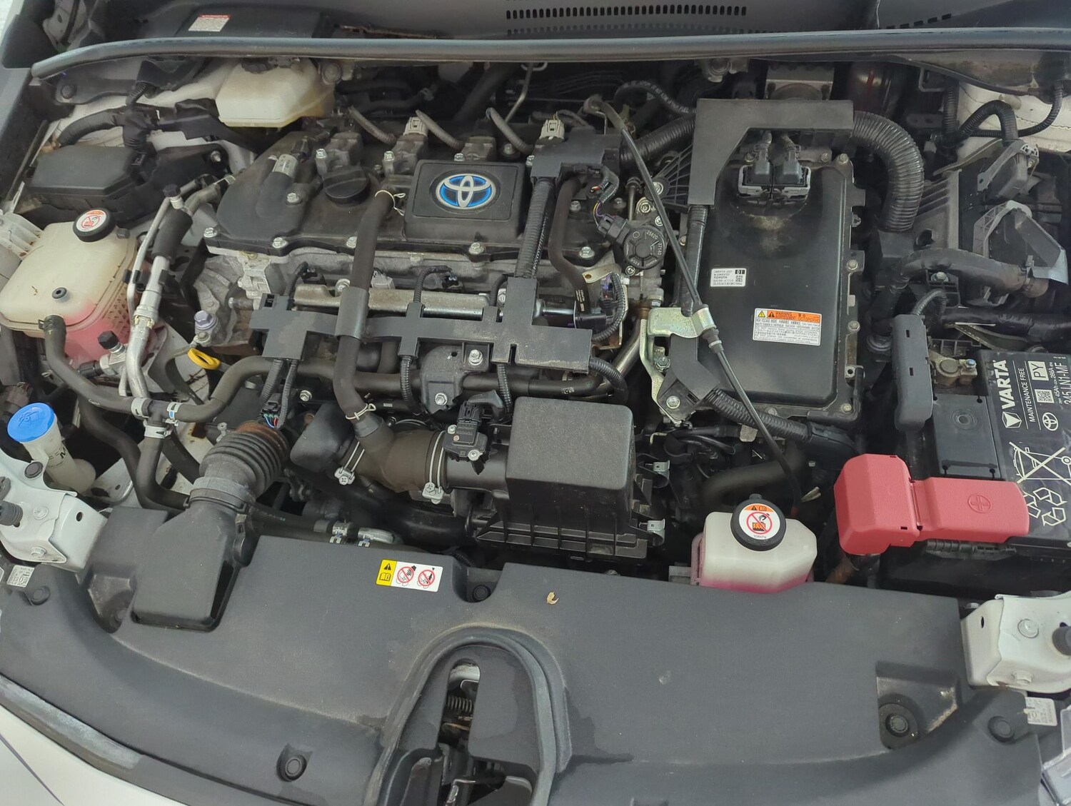 Used Toyota Corolla for sale - 77568134: Photo 31