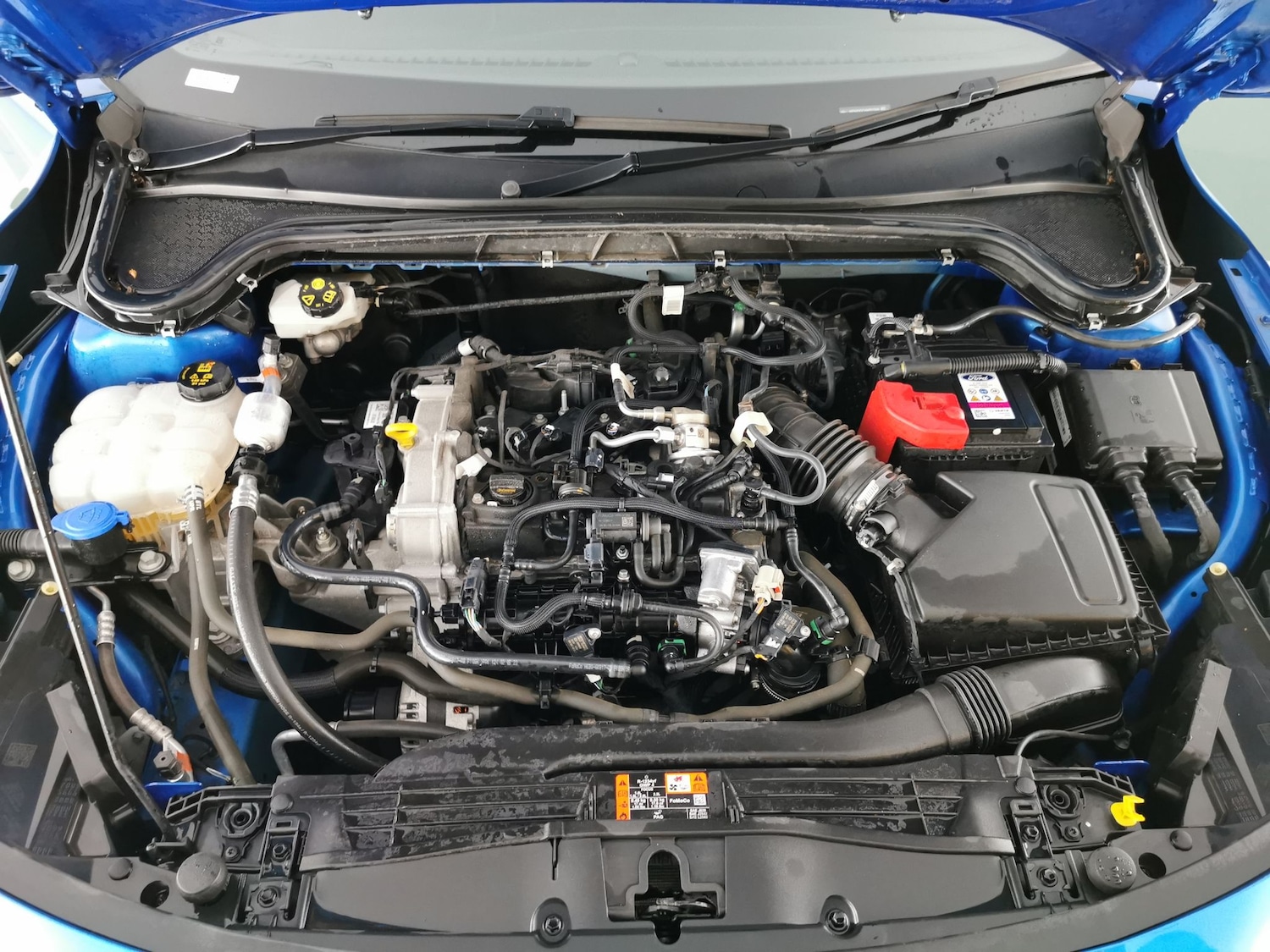 Used Ford Focus 2023 for sale - 77025758: Photo 32