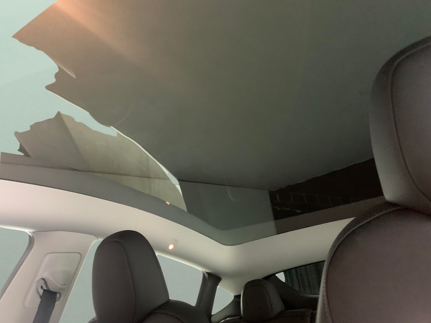 Used Tesla Model Y 2022 for sale - 77318607: Photo 5