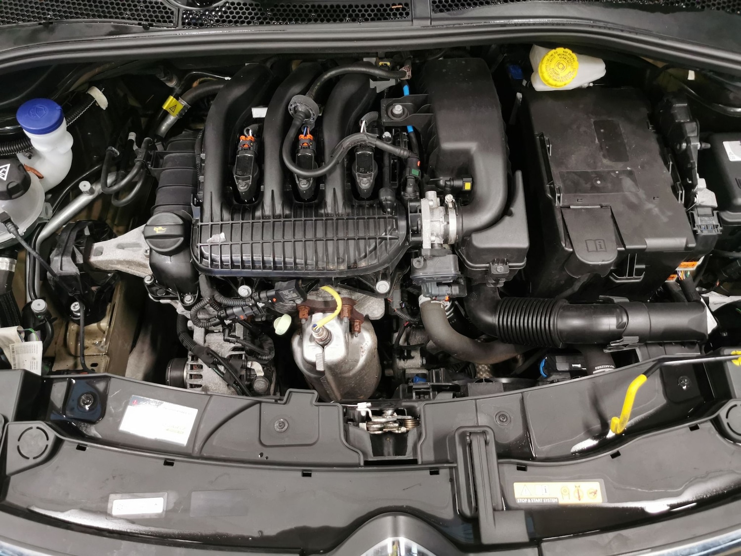 Used Citroen C3 2023 for sale - 77653460: Photo 34