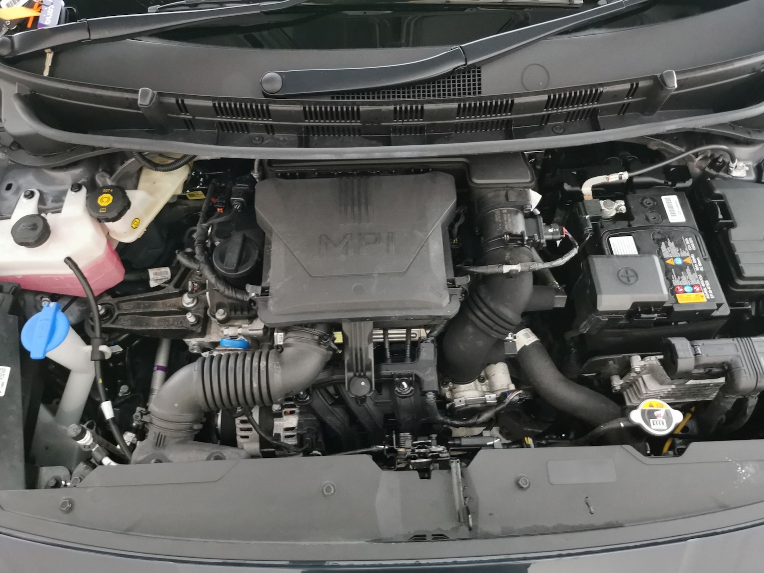 Used Hyundai i10 2023 for sale - 77833683: Photo 30