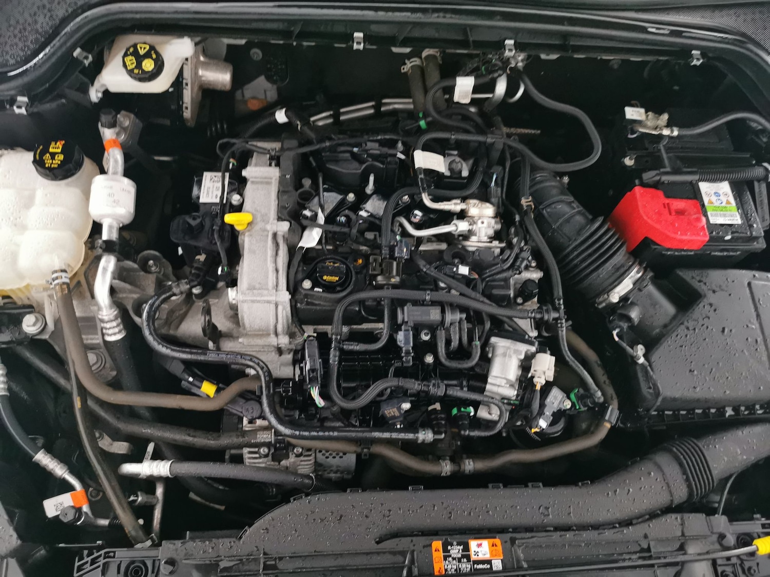 Used Ford Focus 2023 for sale - 77896612: Photo 35