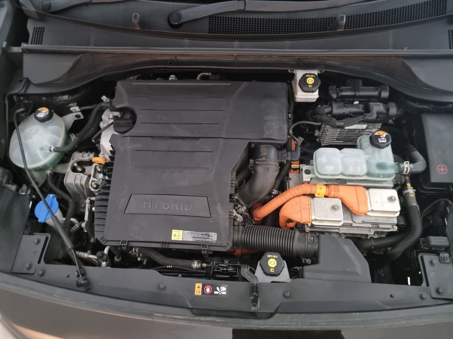 Used Kia Niro 2019 for sale - 76144088: Photo 44