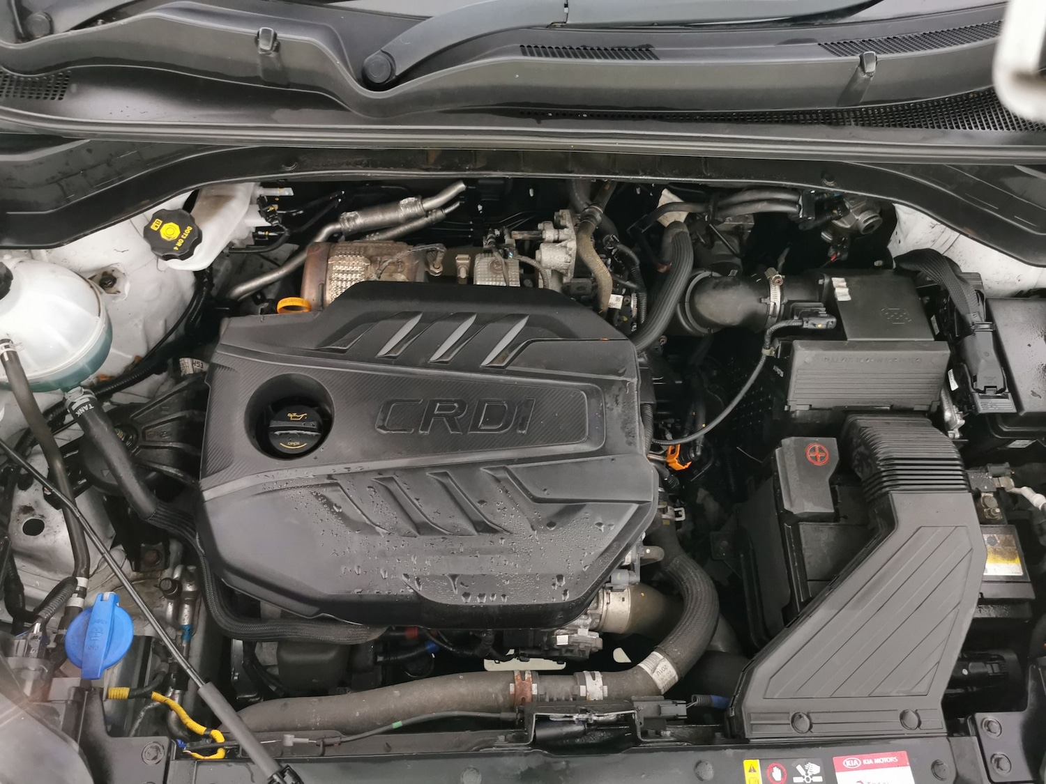 Used Kia Sportage 2019 for sale - 77389420: Photo 34