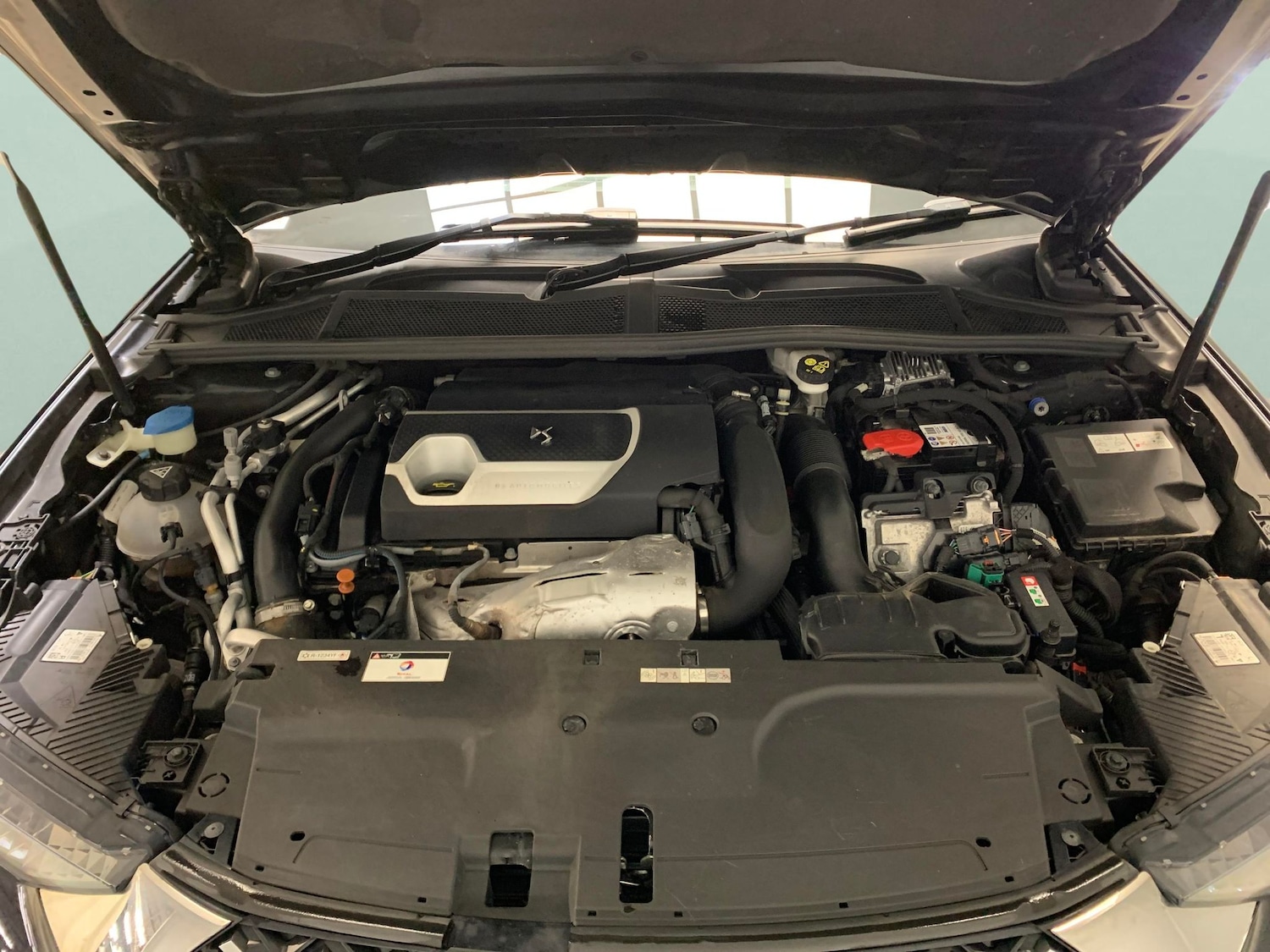 Used DS Automobiles DS 4 for sale - 77307967: Photo 30