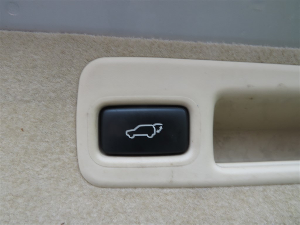 Used Lexus RX 2010 for sale - 77539084: Photo 38