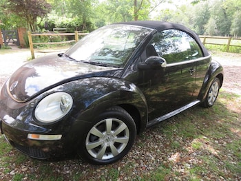 Used Volkswagen Beetle 2006 for sale - 77539083: Photo