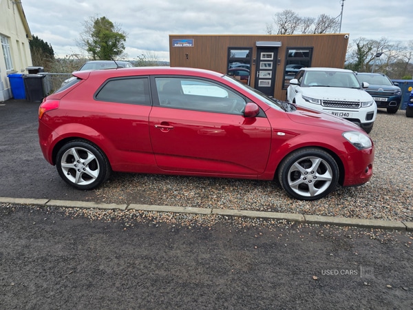 Used Kia Pro Ceed 2010 for sale - 77457117: Photo 2