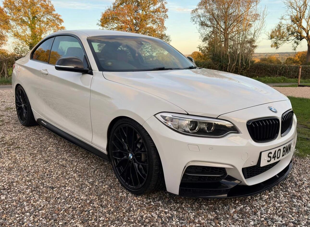 Used BMW 2 Series 2014 for sale - 76753021: Photo 1