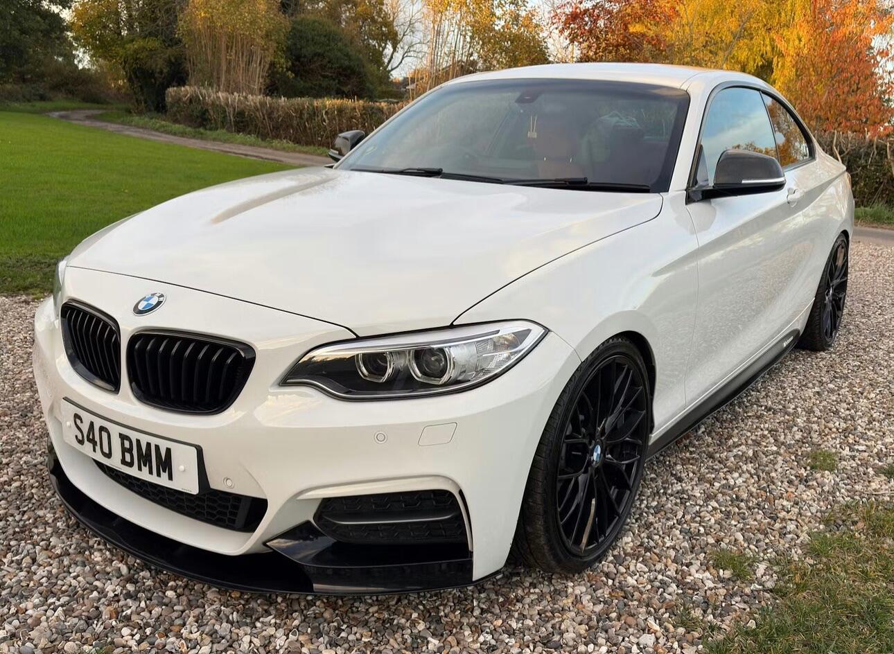 Used BMW 2 Series 2014 for sale - 76753021: Photo 3